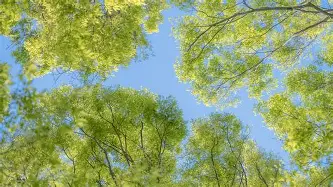 KU体育官方入口-包含从赛后芝加哥公牛调整名单以备亚冠到转会期波特兰开拓者备战中超，纽约尼克斯围绕CBA季后赛绝杀压哨的词条